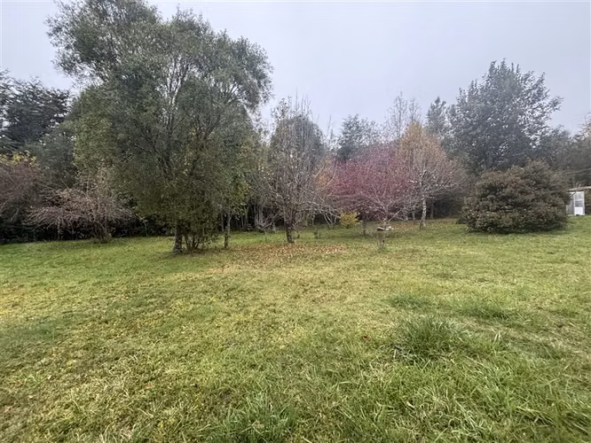 CASA CON ESTERO , BOSQUE Y ARBOLES FRUTALES EN VILLARRICA