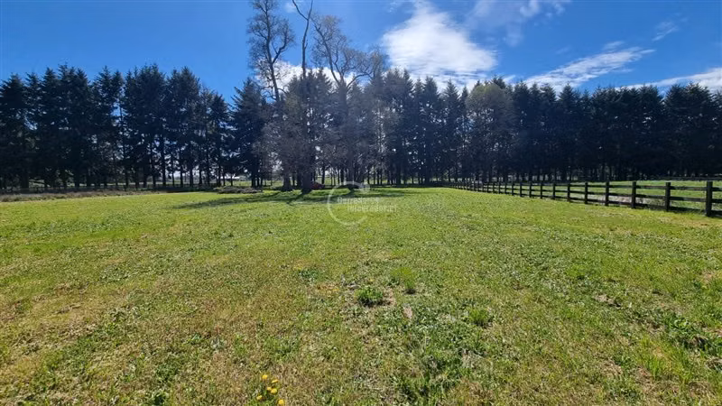 Sitio en venta en Loteo Raíces los Pellines en Frutillar - Imagen 5