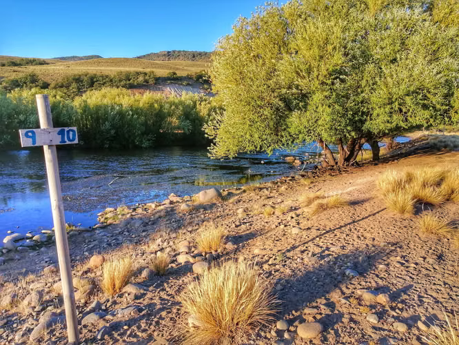 Lonquimay | Parcela 5.000 m² Acceso Río (164461)