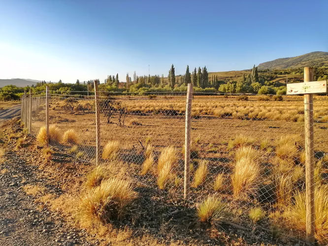 Lonquimay | Parcela 5.000 m² Acceso Río (164461)