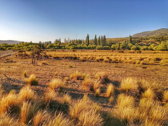 Lonquimay | Parcela 5.000 m² Acceso Río (164461)