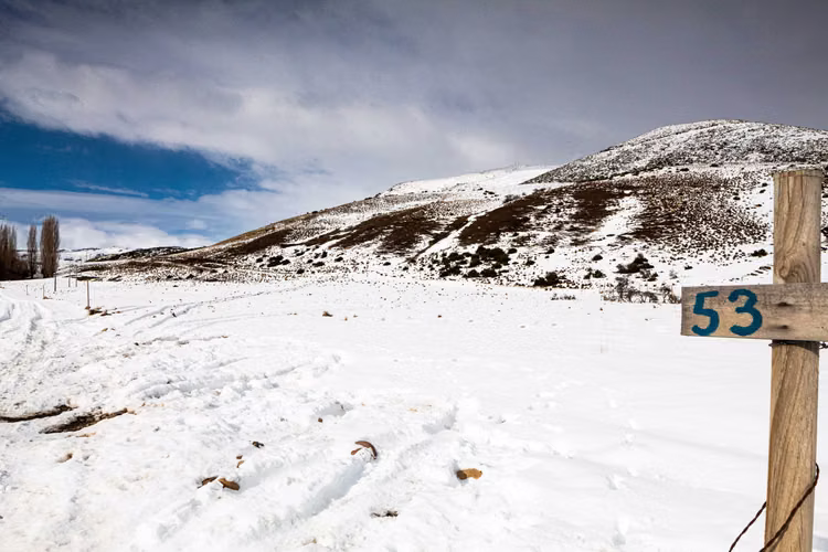 Lonquimay | Parcela 5.000 m² Acceso Río (164461)
