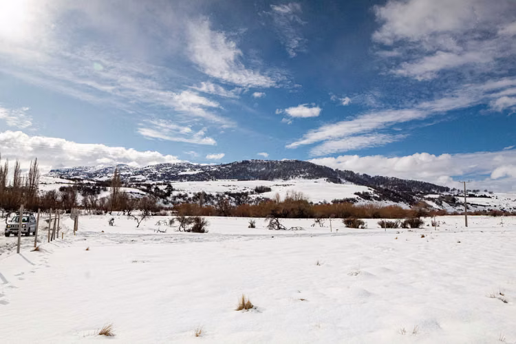 Lonquimay | Parcela 5.000 m² Acceso Río (164461)