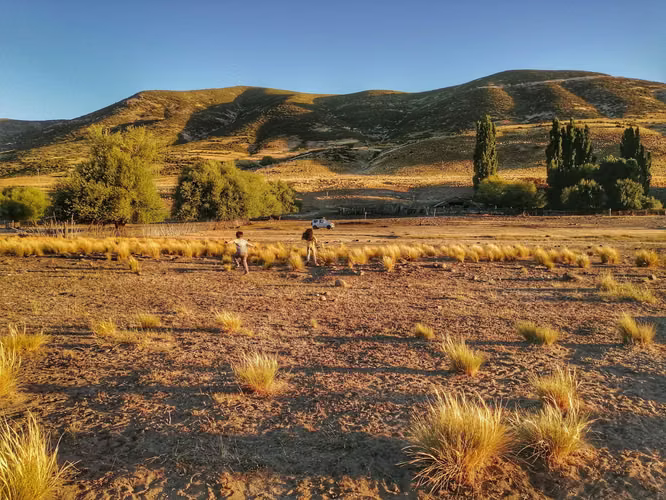 Lonquimay | Parcela 5.000 m² Acceso Río (164461)