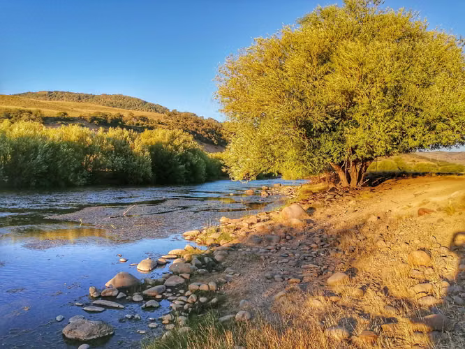 Lonquimay | Parcela 5.000 m² Acceso Río (164461)