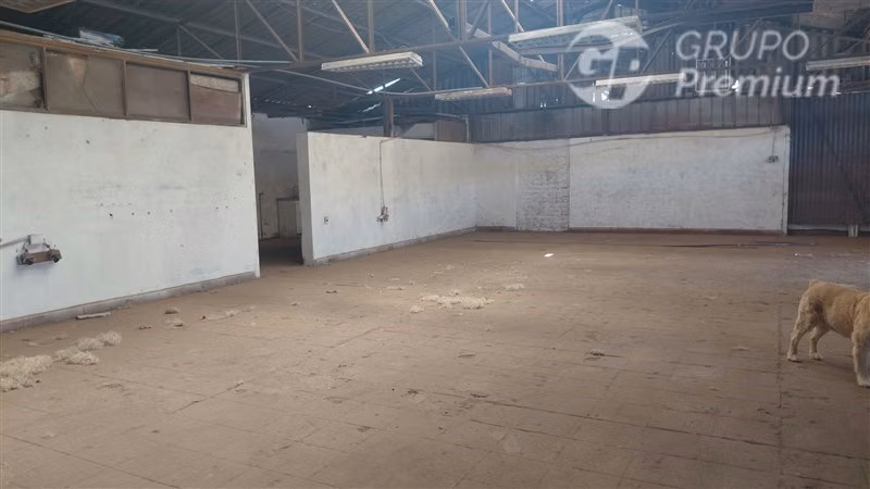 Galpon Industrial en arriendo en La Pintana 165 m2