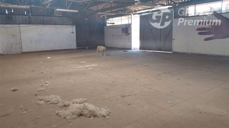 Galpon Industrial en arriendo en La Pintana 165 m2