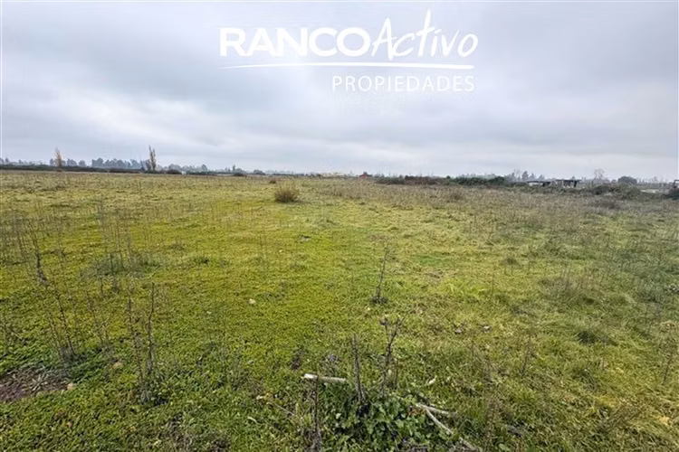 Parcelas en venta sector Las Mariposas Chillán - Imagen 4