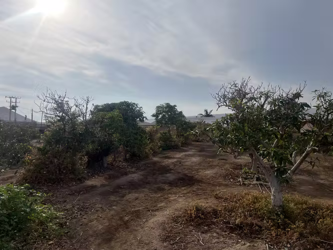 Hermosa parcela alto Ramírez 5300 mt2 orillas carretera