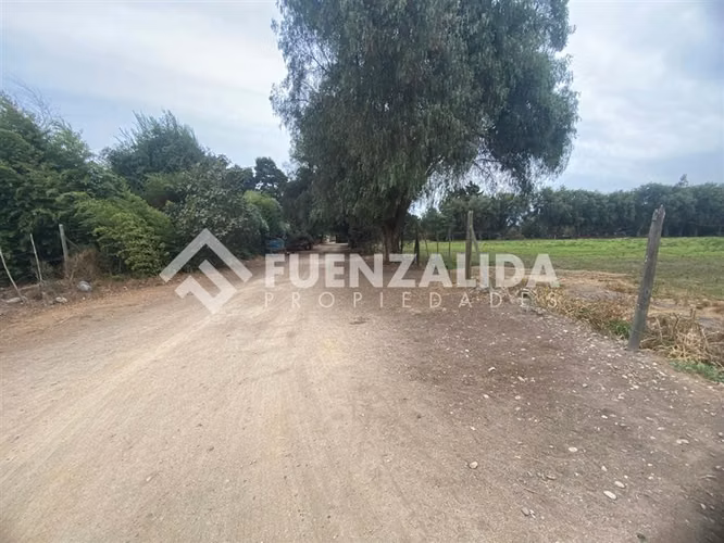 EN VENTA MARAVILLOSA PARCELA 5.000m2- UF 3490 Talagante