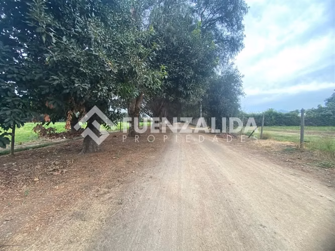 EN VENTA MARAVILLOSA PARCELA 5.000m2- UF 3490 Talagante
