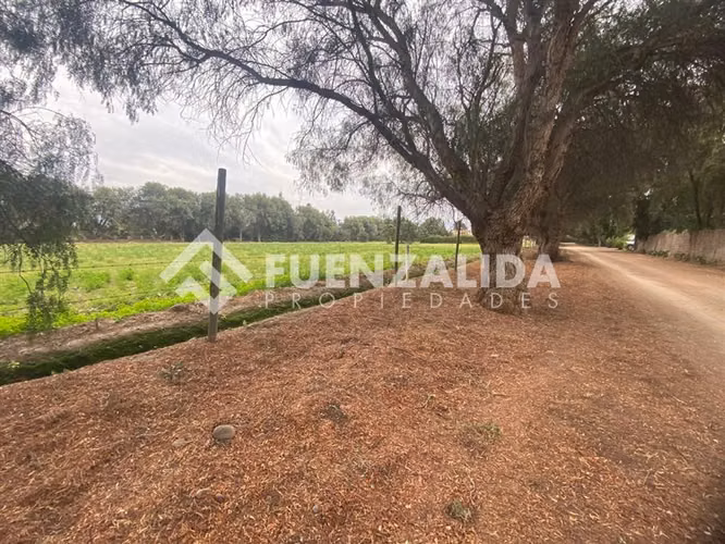 EN VENTA MARAVILLOSA PARCELA 5.000m2- UF 3490 Talagante
