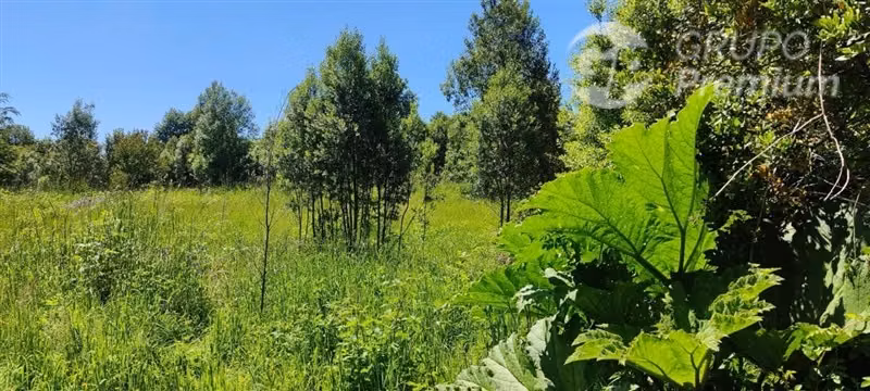 Parcela en venta en Pucón - Imagen 4