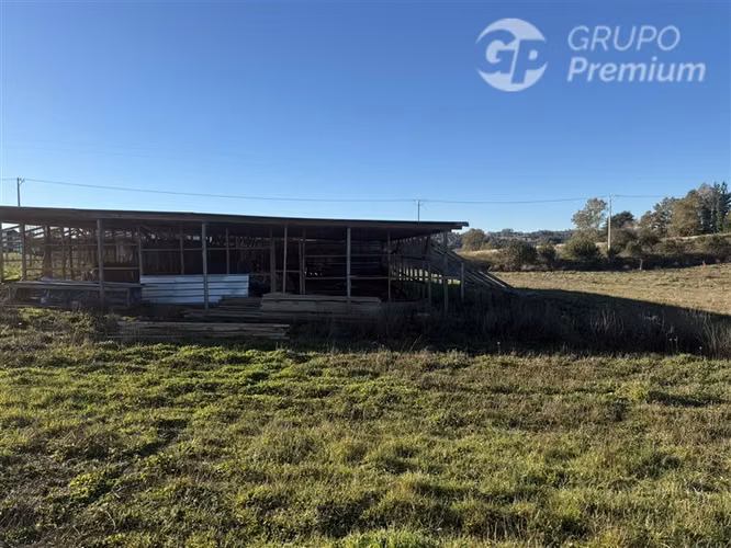 Venta-terreno agricola-Villarrica-Parcela agrícola 3,1 hectá