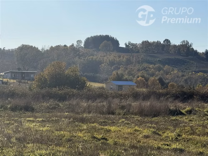 Venta-terreno agricola-Villarrica-Parcela agrícola 3,1 hectá