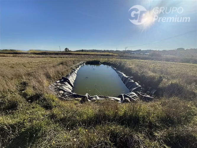 Venta-terreno agricola-Villarrica-Parcela agrícola 3,1 hectá