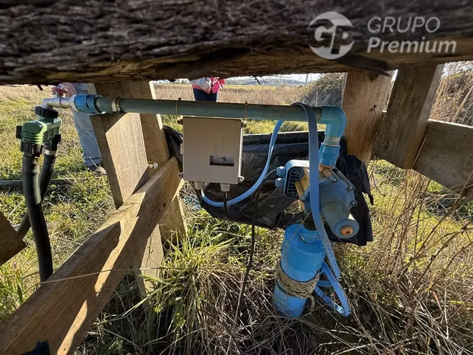 Venta-terreno agricola-Villarrica-Parcela agrícola 3,1 hectá