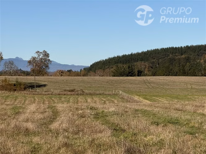 Venta-terreno agricola-Villarrica-Parcela agrícola 3,1 hectá