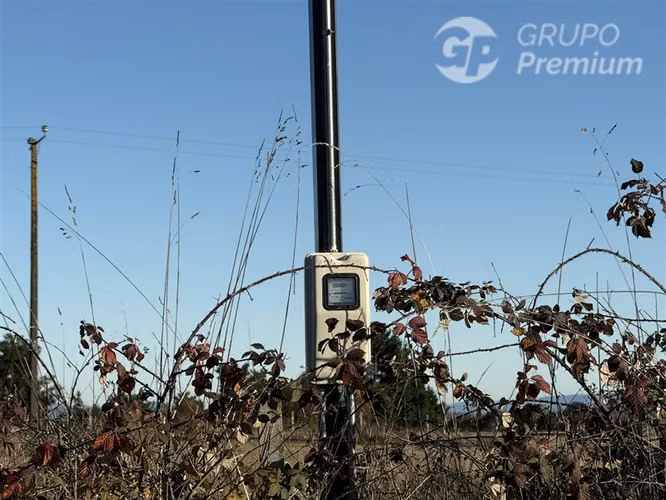 Venta-terreno agricola-Villarrica-Parcela agrícola 3,1 hectá