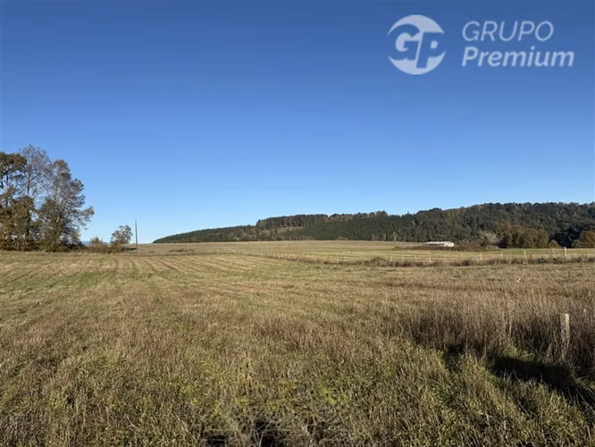 Venta-terreno agricola-Villarrica-Parcela agrícola 3,1 hectá