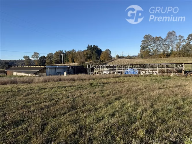 Venta-terreno agricola-Villarrica-Parcela agrícola 3,1 hectá