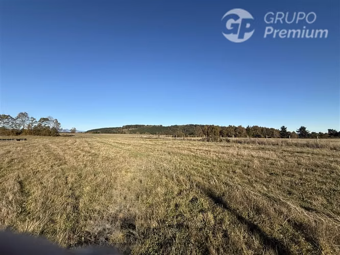Venta-terreno agricola-Villarrica-Parcela agrícola 3,1 hectá