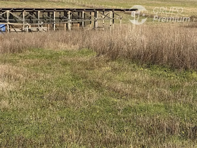 Venta-terreno agricola-Villarrica-Parcela agrícola 3,1 hectá