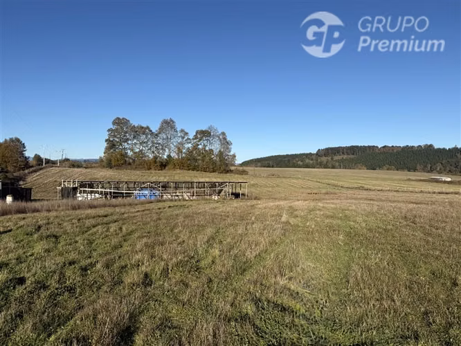 Venta-terreno agricola-Villarrica-Parcela agrícola 3,1 hectá