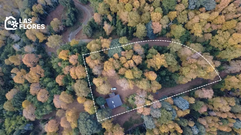 CASA INMERSA EN BOSQUE NATIVO