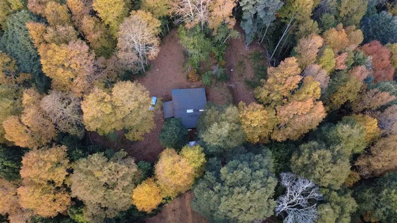 CASA INMERSA EN BOSQUE NATIVO