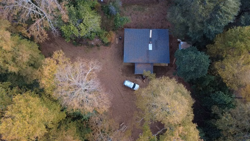 CASA INMERSA EN BOSQUE NATIVO