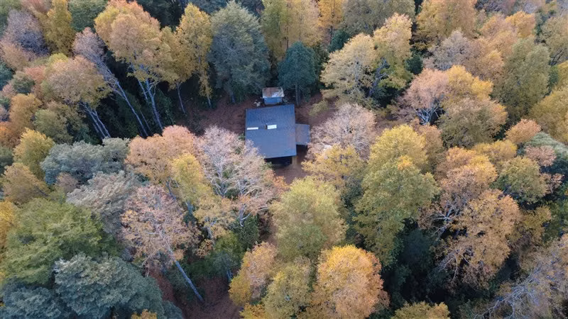CASA INMERSA EN BOSQUE NATIVO