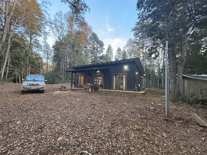 CASA INMERSA EN BOSQUE NATIVO