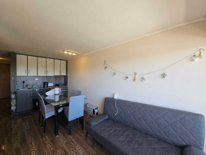 vende Dpto 1D 1B Concepcion (164687)