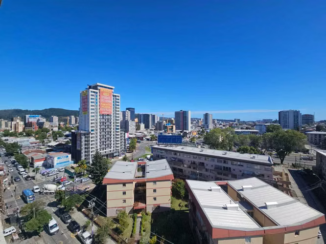 vende Dpto 1D 1B Concepcion (164687)