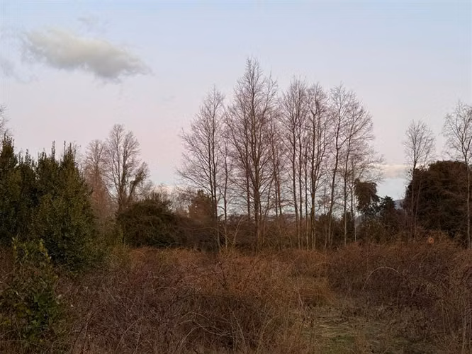 Sitio en Venta en Pucón