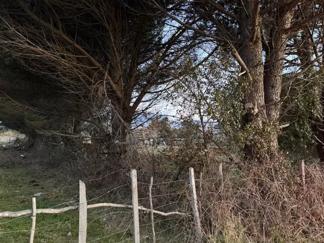 Sitio en Venta en Pucón