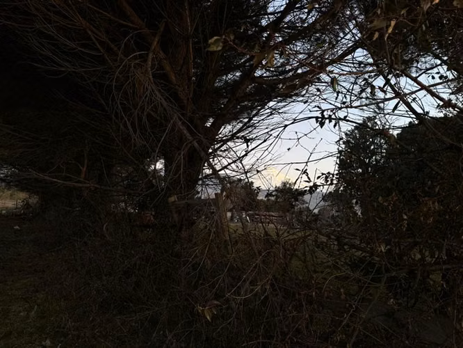 Sitio en Venta en Pucón
