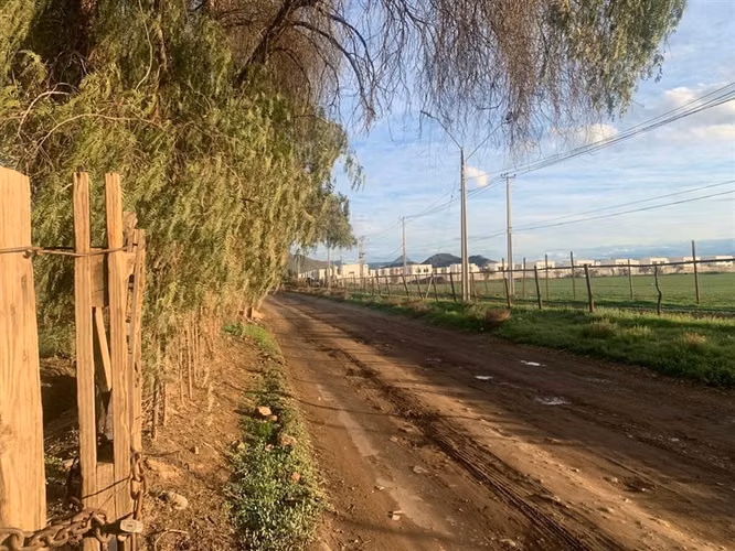 3 paños de 3,5 y 8 ha para casas de 350m2 de terreno