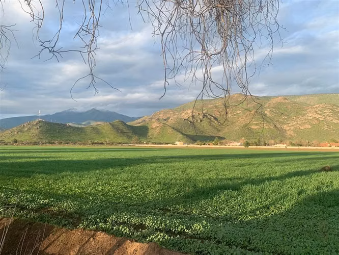 Sitio urbano para casas de terreno de 350 m2