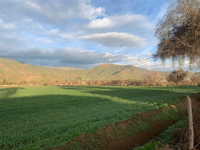 Sitio en venta urbano para casas de 350 m2 de terreno