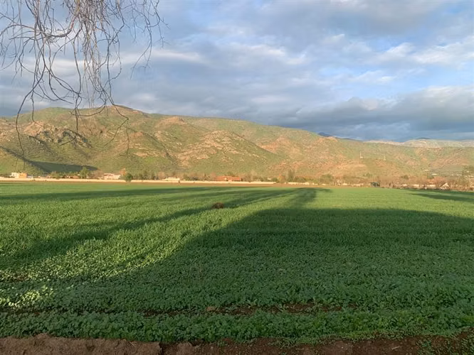 Sitio en venta urbano para casas de 350 m2 de terreno