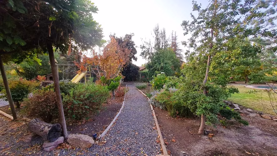 Vive a pasos de en Chicureo (164789)