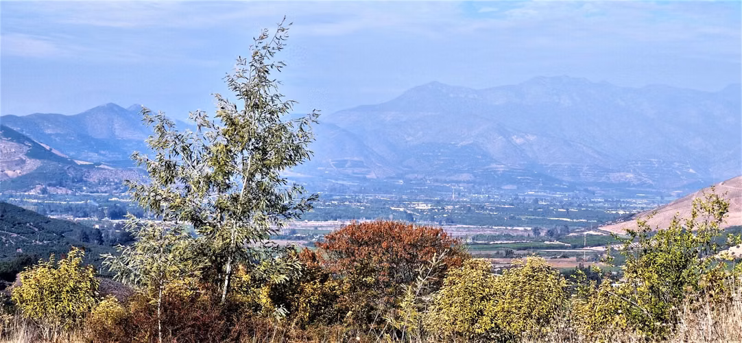 Venta de hermosa parcela de 6.021 m2. con casa y piscina en el tranquilo sector de Lo Rojas, La Cruz. 110 M$.