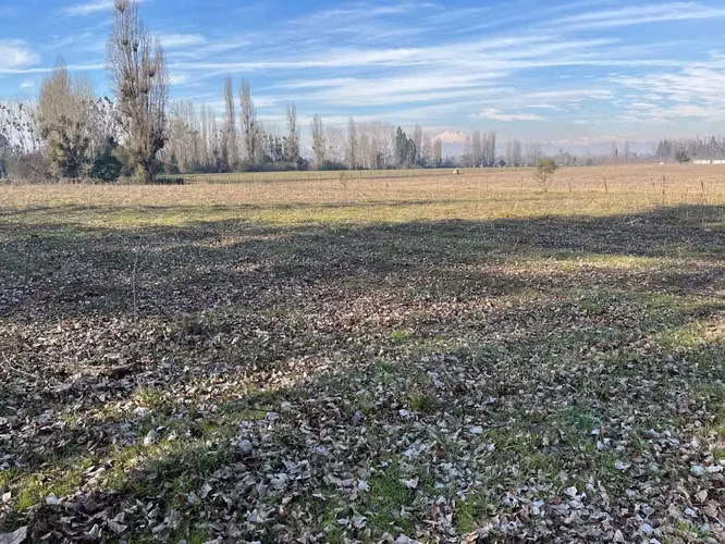 Venta campo 4 ha con agua en Parral (164866)