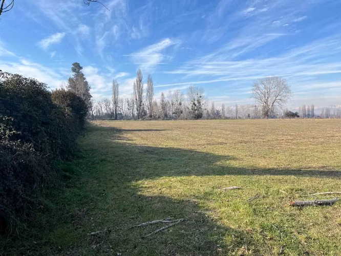 Campo agrícola plano en Parral (164866) - Imagen 2