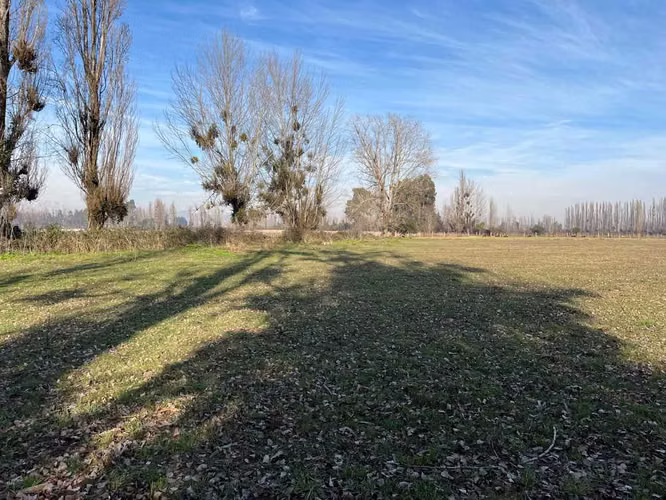 Venta campo 4 ha con agua en Parral (164866)