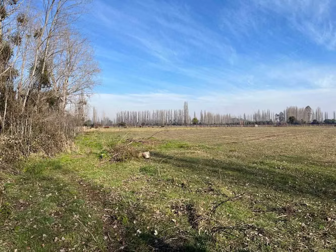 Venta campo 4 ha con agua en Parral (164866)