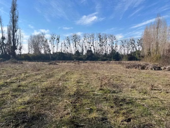 Venta campo 4 ha con agua en Parral (164866)