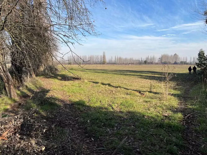 Venta parcela agrícola 4 ha Parral (164866)